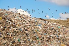 В Доволенском районе третий год не могут построить площадку накопления для мусора